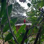 Sitio das bromelias Cachoeira do Tombador